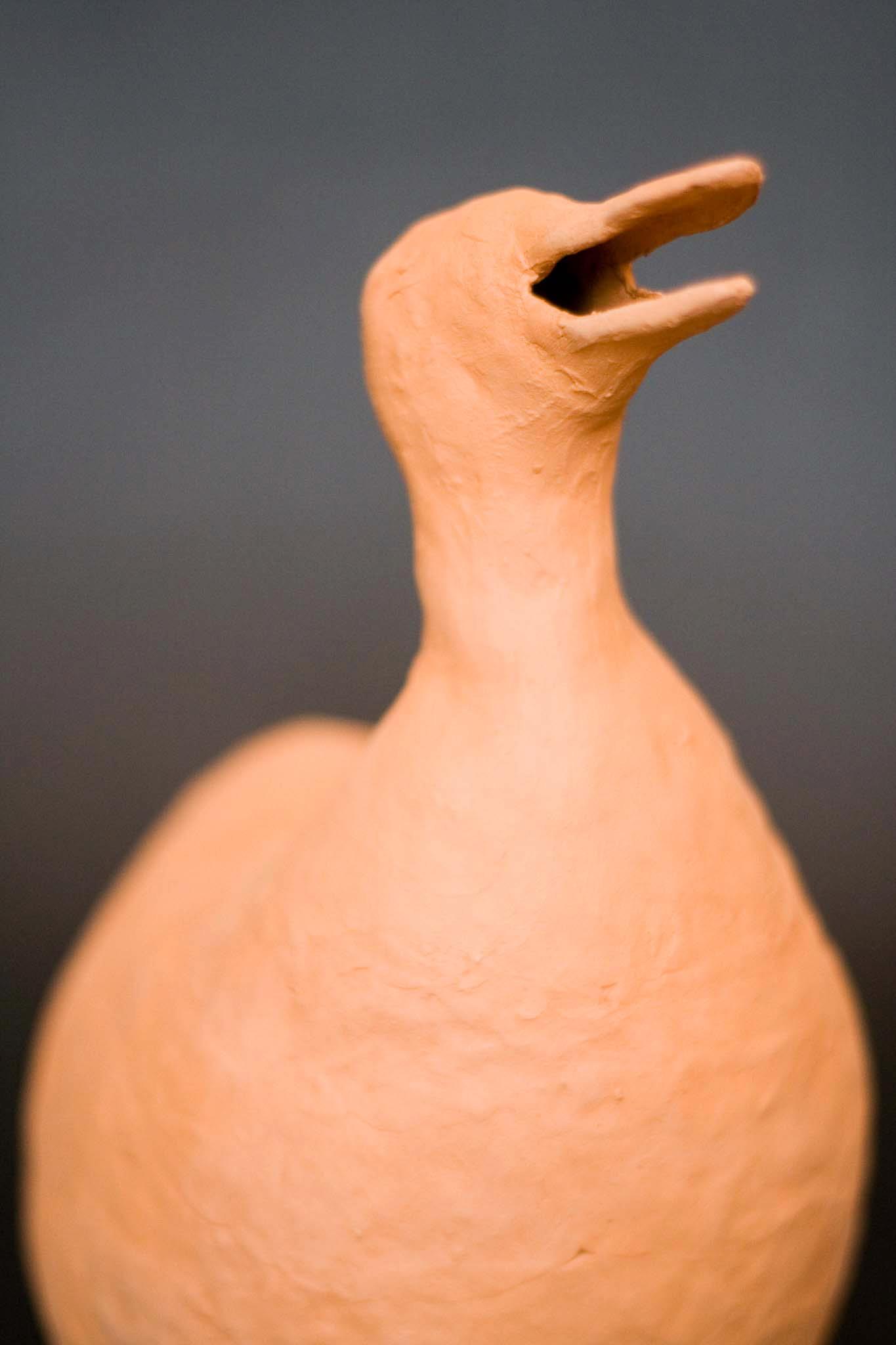 Image 31